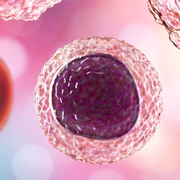 Lymphocyte Subset Assays
