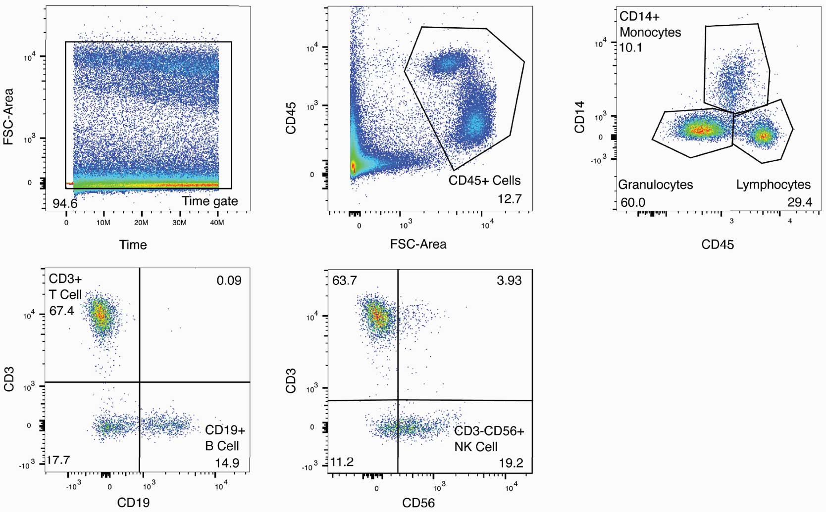 Lymphocyte Subset Assay Sample Data