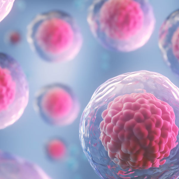Stem Cell Assays