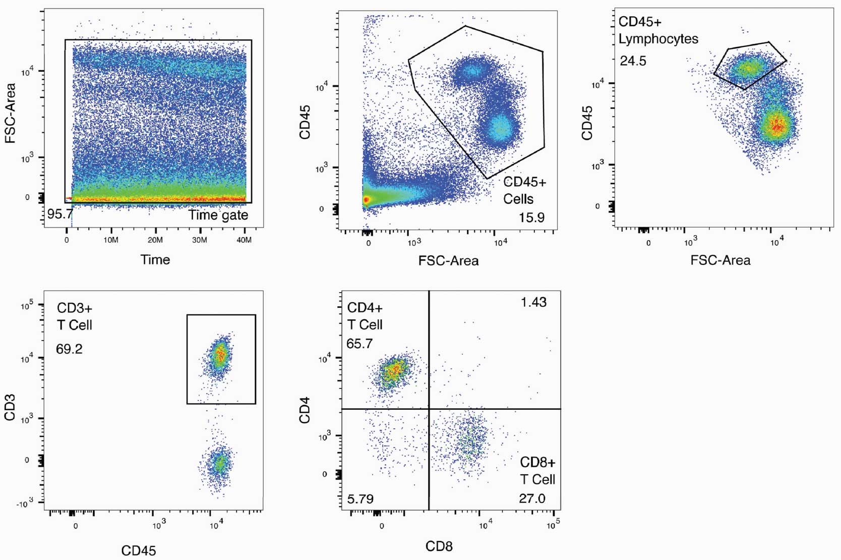 T-Cell Subset Assay Sample Data